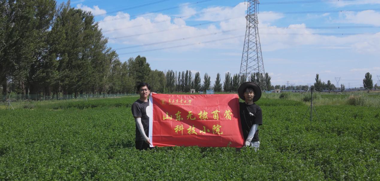 �y�ֹ����Gɫ���룬���u�r���о���������˹���،��`�������B�������O