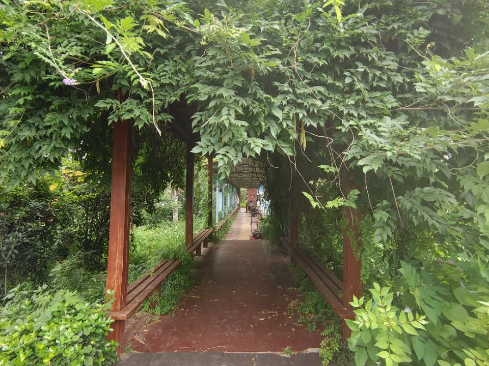 "�ഺ�ķ�I(xi��n)�������ͬ�W(xu��)����֧�̉����c(di��n)ȼĸУ�|�����ތW(xu��)У�W(xu��)����"
